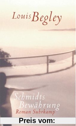 Schmidts Bewährung. Roman